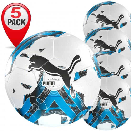 Puma Fifa Hardground Match Ball